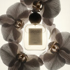 ÉTALE | Eau de Parfum 110ml