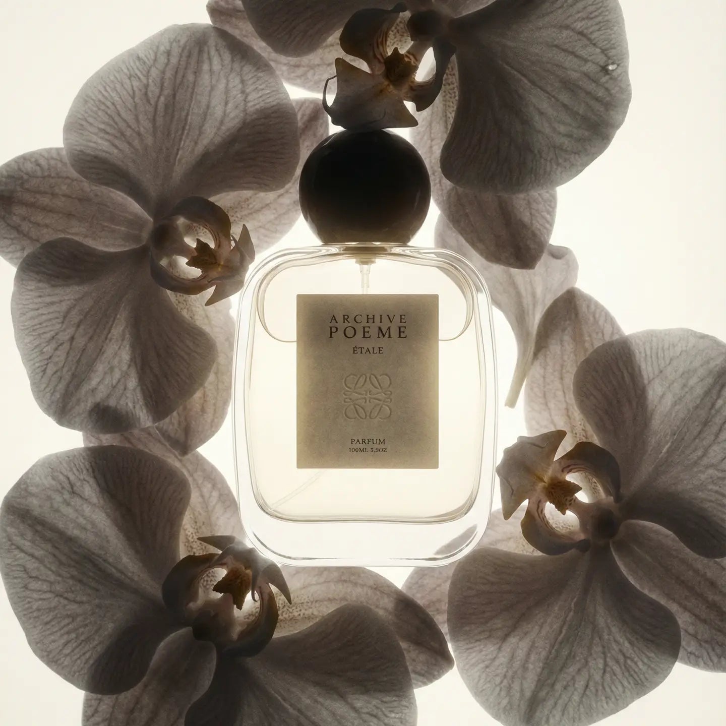 ÉTALE | Eau de Parfum 110ml